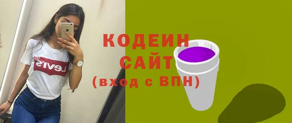 шишки Бородино